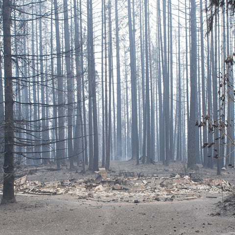 Corinthian Bells Wind Chimes Survive the Fire
