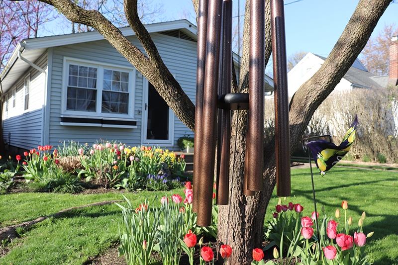 Windy River Spring Make Space for Harmony: Capture the Spirit of Spring – Wind River