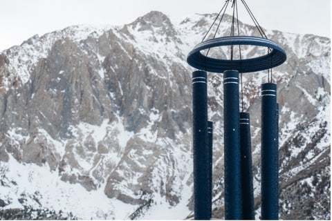 A Love Letter to Those Who Listen for the Wind