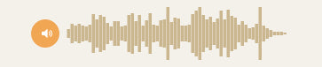 Waveform placeholder