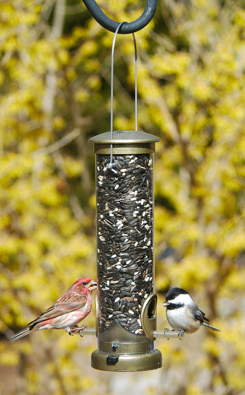 Aspects® Seed Tube Feeder- Antique Brass - Wind River