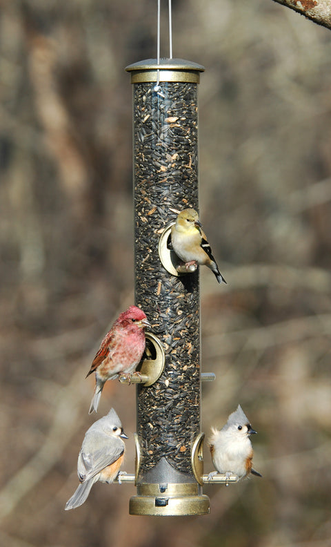 Aspects® Seed Tube Feeder- Antique Brass - Wind River