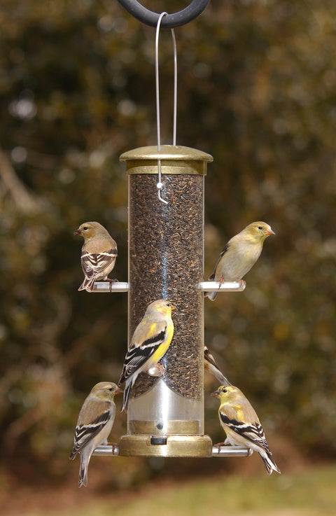Aspects® Thistle Tube Feeder- Antique Brass - Wind River