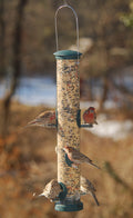 Aspects® Seed Tube Feeder - Spruce - Wind River