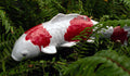 JJ Potts Garden Koi Stake - Wind River