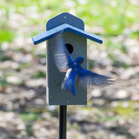 Bird's Choice Bluebird House - Wind River