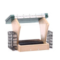 Bird's Choice 2-Sided Hopper W/2 Suet - Wind River
