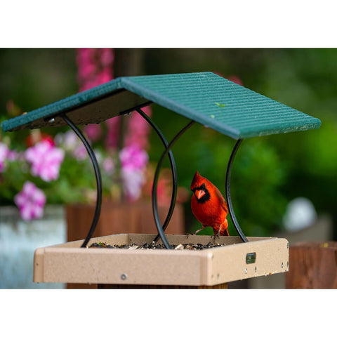 Bird's Choice Fly-Thru Feeder - 18x12 - Wind River